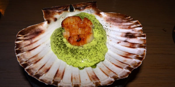 Scallop