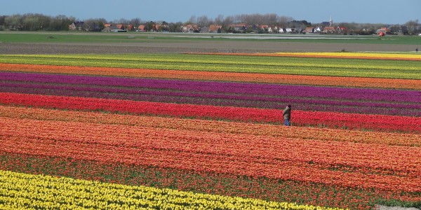 Niederlande